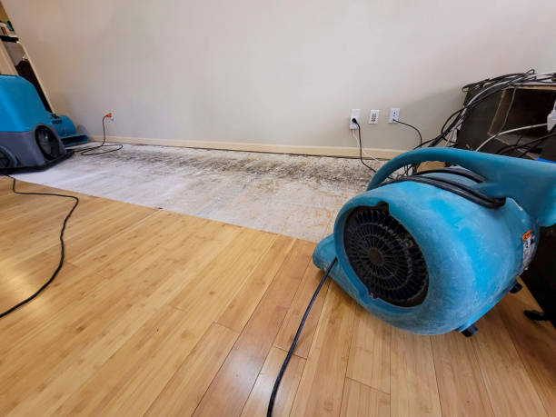 Professional Flood Damage Cleanup technician working in Vienna, WV